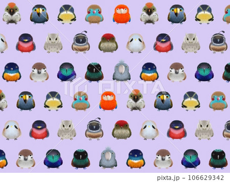 フワフワ鳥C 背景① パープル フワフワ鳥C 背景① パープル 106629342