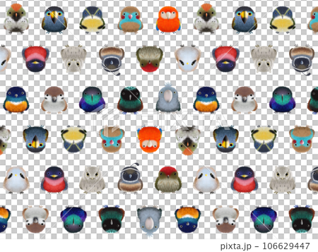 Fluffy bird C background ② PNG Fluffy bird C background ② PNG 106629447