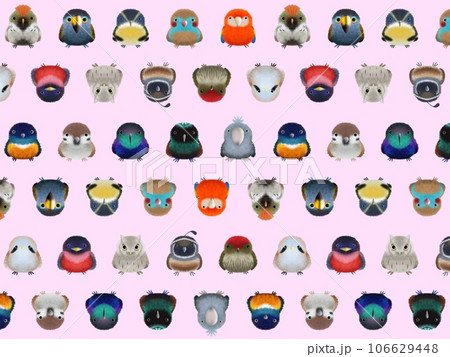 フワフワ鳥C   背景②   ピンク 106629448