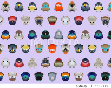 フワフワ鳥C   背景②   パープル 106629449