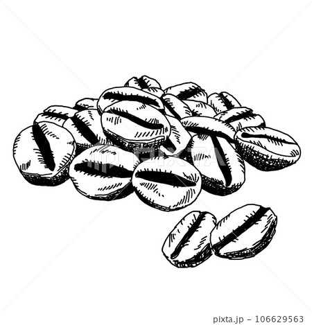 コーヒー豆 ペン画・手描きイラスト 106629563
