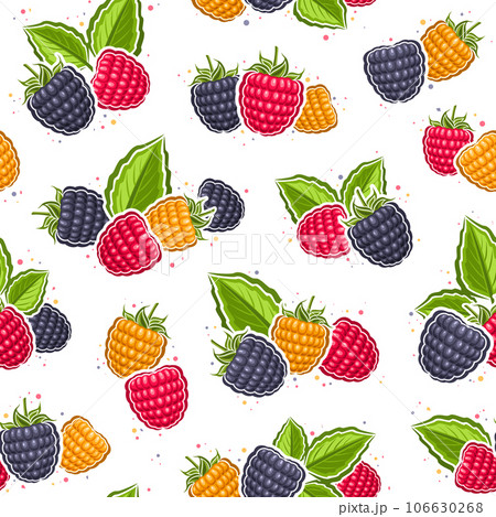 Vector Colorful Raspberry seamless pattern Vector Colorful Raspberry seamless pattern 106630268