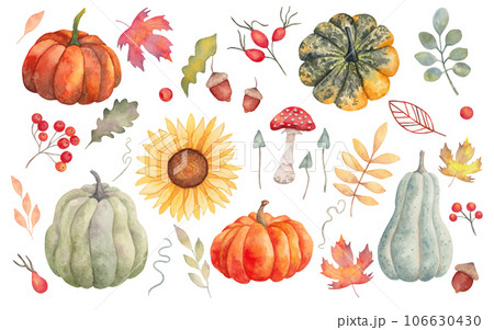 Collection of autumn elements. Pumpkins,maple leaves,sunflower,mushrooms,acorn,oak leaf,rose hip,rowan. Clipart for seasonal holidays design. Thanksgiving,Halloween.Handmade isolated. Collection of autumn elements. Pumpkins,maple leaves,sunflower,mushrooms,acorn,oak leaf,rose hip,rowan. Clipart for seasonal holidays design. Thanksgiving,Halloween.Handmade isolated. 106630430