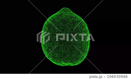 3D Lemon on black background. Fruits and vegetables concept. Natural nutrition and a healthy lifestyle. Business advertising backdrop. For title, text, presentation. 3d animation. 106630986