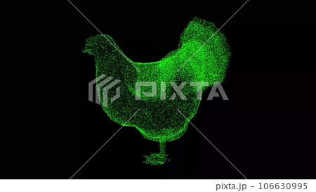 3D Hen on black background. Farm and domestic animals concept. Meat and chicken eggs production. Business advertising backdrop. For title, text, presentation. 3d animation. 106630995