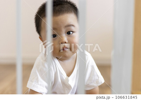 赤ちゃんとベビーゲート(男の子、0歳、生後9か月、日本人) 赤ちゃんとベビーゲート(男の子、0歳、生後9か月、日本人) 106631845