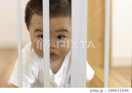 赤ちゃんとベビーゲート(男の子、0歳、生後9か月、日本人) 赤ちゃんとベビーゲート(男の子、0歳、生後9か月、日本人) 106631846