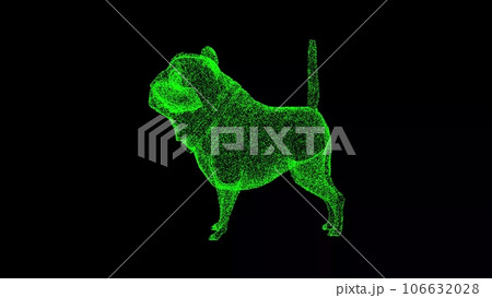 3D funny bulldog on black bg. Funny animals concept. Business advertising backdrop. For title, text, presentation. 3d animation. 106632028