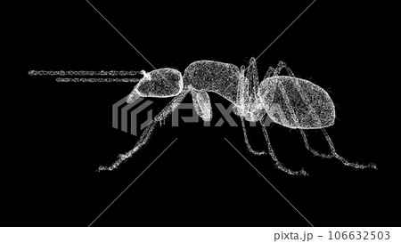 3D Insect on black bg. Pest control, insect extermination. Insect Killing Services. For title, text, presentation. Object made of shimmering particles. 3d animation. 106632503