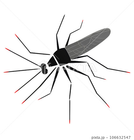 mosquito, cartoon, insect, bite, illustration, bug, character, animal, isolated, malaria, disease, cute, background, design, pest, fly, sting, parasite, nature, icon, funny, gnat, wing, symbol, graphi mosquito, cartoon, insect, bite, illustration, bug, character, animal, isolated, malaria, disease, cute, background, design, pest, fly, sting, parasite, nature, icon, funny, gnat, wing, symbol, graphi 106632547