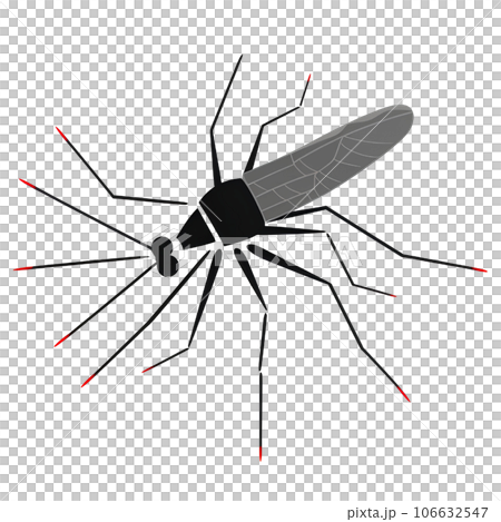 mosquito, cartoon, insect, bite, illustration, bug, character, animal, isolated, malaria, disease, cute, background, design, pest, fly, sting, parasite, nature, icon, funny, gnat, wing, symbol, graphi mosquito, cartoon, insect, bite, illustration, bug, character, animal, isolated, malaria, disease, cute, background, design, pest, fly, sting, parasite, nature, icon, funny, gnat, wing, symbol, graphi 106632547