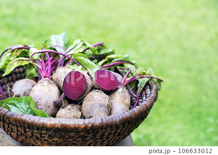 Beetroot 106633012