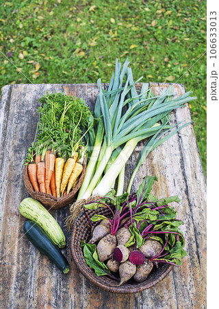 Vegetable garden 106633013