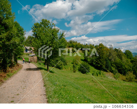 Family walk in Zakarpattya village Carpathian mountains view Ukraine Europe Scenic landscape trees sunny day Cottagecore 106634316
