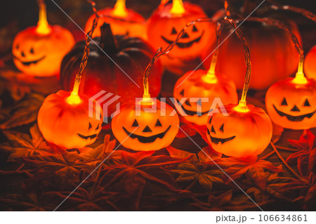 【Halloween】ハロウィンイメージ 106634861