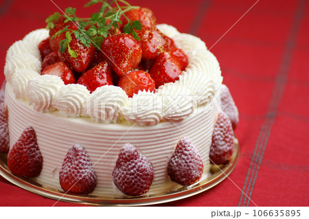 クリスマスケーキ クリスマスケーキ 106635895