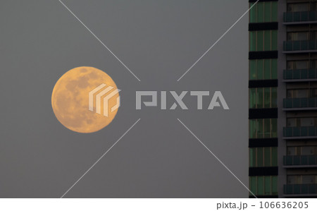 ビルに並ぶ満月 106636205