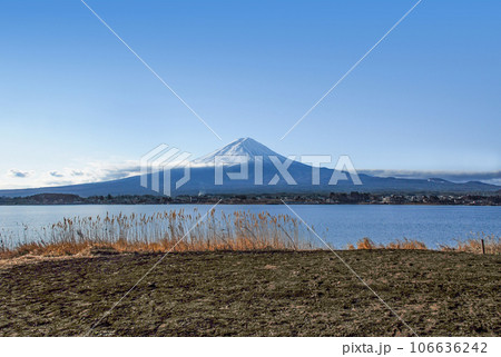 河口湖畔から望む富士山 河口湖畔から望む富士山 106636242