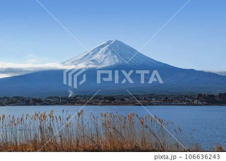 河口湖畔から望む富士山 河口湖畔から望む富士山 106636243