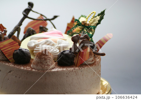 クリスマスケーキ 106636424
