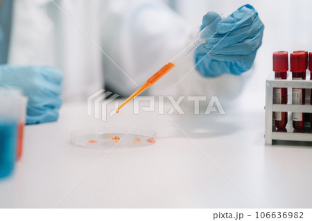 Science and medicine, scientist analyzing and dropping a sample into a glassware, experiments containing chemical liquid in laboratory on glassware, innovative and technology. Science and medicine, scientist analyzing and dropping a sample into a glassware, experiments containing chemical liquid in laboratory on glassware, innovative and technology. 106636982