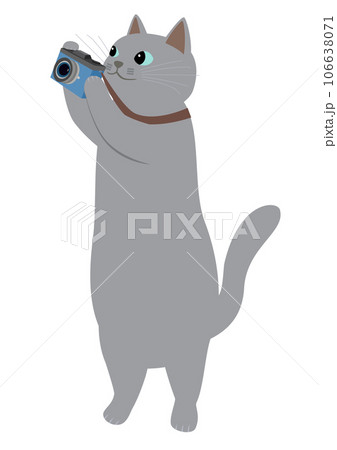 カメラを持ったロシアンブルーの猫 カメラを持ったロシアンブルーの猫 106638071
