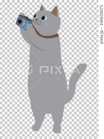 カメラを持ったロシアンブルーの猫 カメラを持ったロシアンブルーの猫 106638071