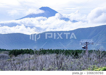 大涌谷から望む夏の富士山　 106639760