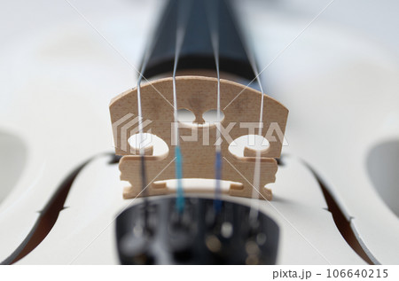Close-up of the bridge and violin strings 106640215