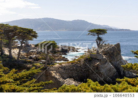 Coastal landscape in California 106640553