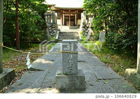 埼玉県行田市 歴史の町の忍東照宮 諏訪神社 埼玉県行田市 歴史の町の忍東照宮 諏訪神社 106640829
