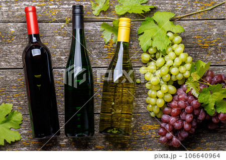 Wine bottles and grape 106640964