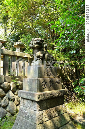 埼玉県行田市 歴史の町の忍東照宮 諏訪神社 埼玉県行田市 歴史の町の忍東照宮 諏訪神社 106641015