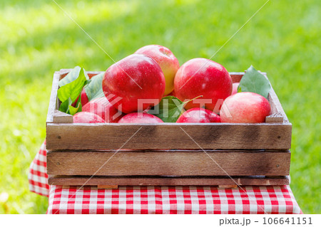 Basket with fresh red apples Basket with fresh red apples 106641151