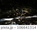 川と岩場 106641314