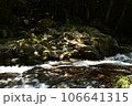 川と岩 106641315