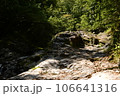 八ヶ岳の河川敷 106641316