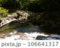 川と石 106641317