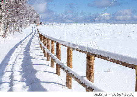 雪の積もった牧場の道 106641916