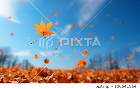Falling autumn leaves in colorful sky.Beautiful autumn landscape with yellow trees and sun. Colorful foliage in the park. Falling leaves natural background .Autumn season concept copy space 106641964