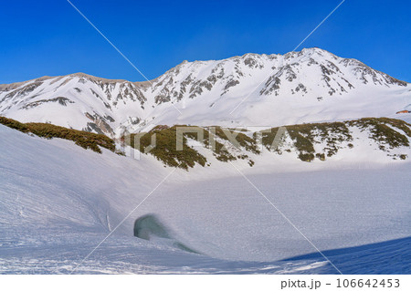 開通直後の黒部立山アルペンルート　室堂 106642453
