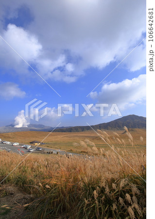 秋の草千里ヶ浜の風景 ( 2021年11月 / 熊本県 阿蘇市 ) 秋の草千里ヶ浜の風景 ( 2021年11月 / 熊本県 阿蘇市 ) 106642681