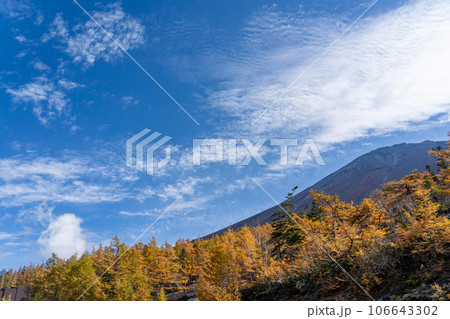 秋空と紅葉と富士山 106643302