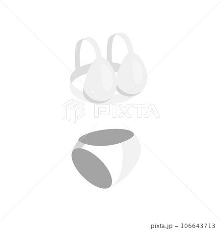 3D Isometric Flat Vector Set of Lingerie And Swimsuits. Item 3 106643713