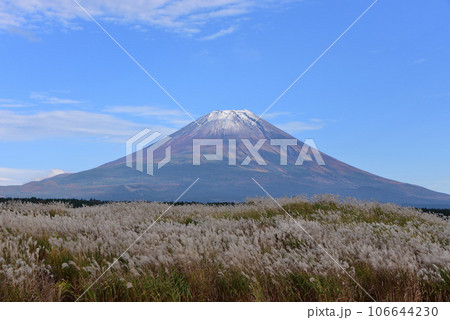 朝霧高原からの富士山 朝霧高原からの富士山 106644230