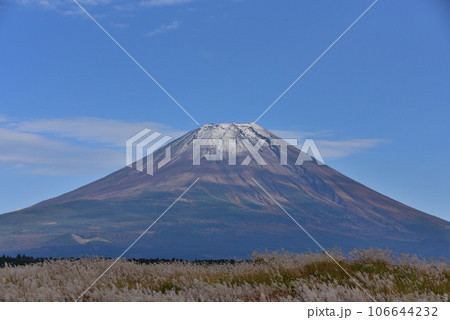 朝霧高原からの富士山 106644232