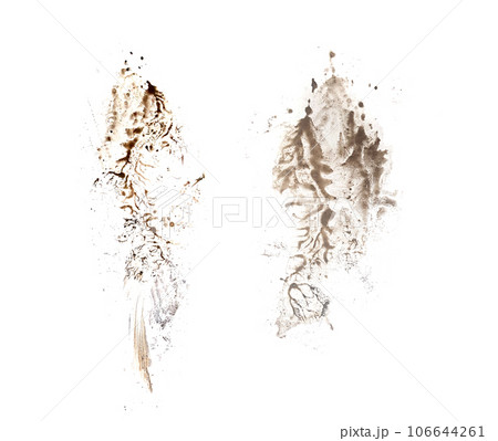 Two footprint isolated on white background. Dirty muddy print boot 106644261