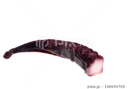 octopus tentacles isolated 106644709