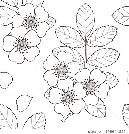 白い野バラのシームレスパターン 106644843