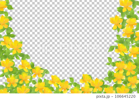 未央柳(ビヨウヤナギ)の花のカード2 未央柳(ビヨウヤナギ)の花のカード2 106645220